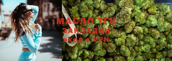 стаф Инта