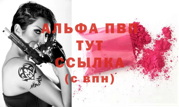 спиды Каменка