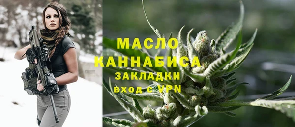 спиды Каменка