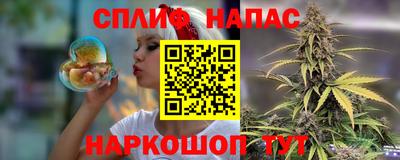 шишки Беслан