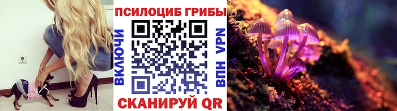 где можно купить наркотик  Таганрог  Псилоцибиновые грибы GOLDEN TEACHER 